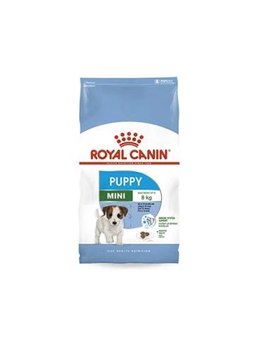 Pro Plan Large Breed  Beef & Rice Probiotic Dry